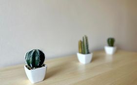 Mmrent Desert Room